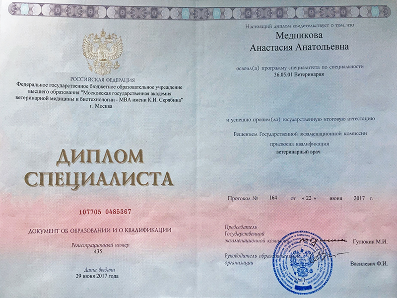 Главная страница