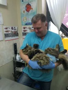 Главная страница