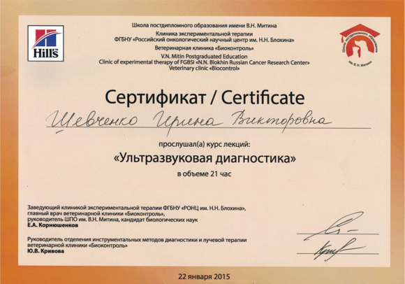 Главная страница