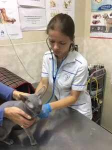 Главная страница