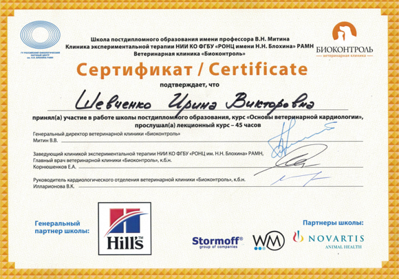 Главная страница