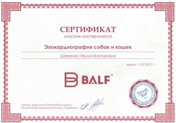 Главная страница