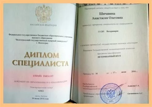 Главная страница